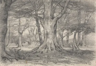 A Forest Landscape Near Boldrewood