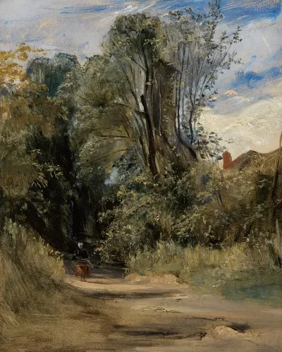 A Forest Path