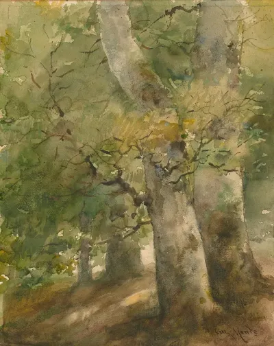 A Forest Scene