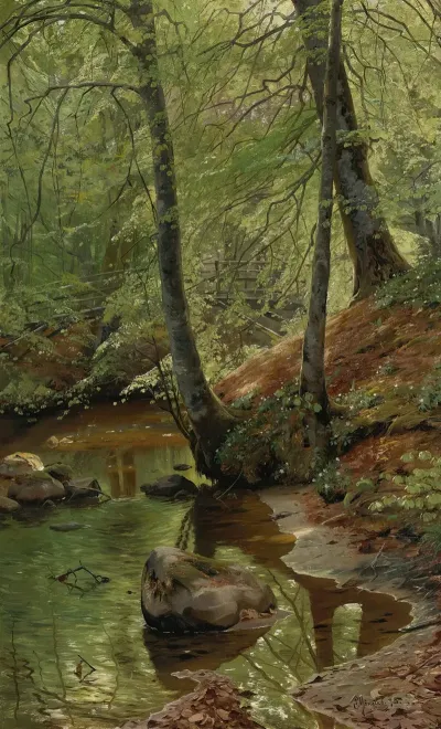 A Forest Stream
