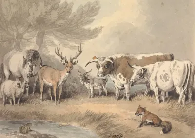 A Frog Confronting A Circle Of Animals