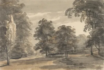 A Glade In A Wood