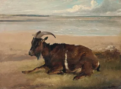 A Goat By The Shore Margate