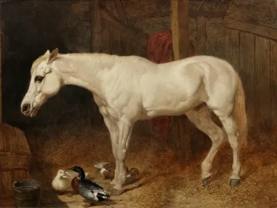 A Grey Horse In A Stable