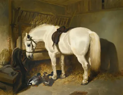 A Grey Pony In A Stable With Ducks