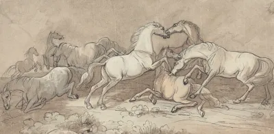 A Group Of Eight Horses Fighting