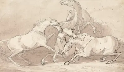 A Group Of Five Horses Fighting