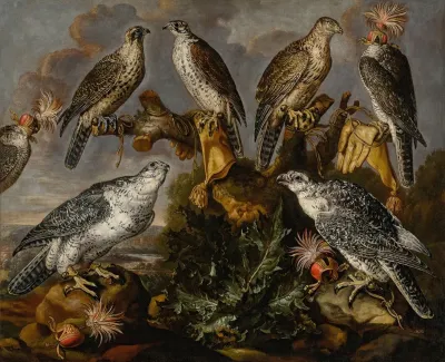 A Group Of Seven Lanner And Peregrine Or Gyrfalcons