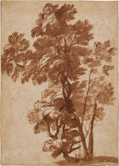 A Group Of Trees 2