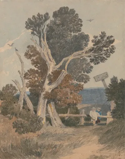 A Group Of Trees By A Fence
