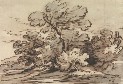 A Group Of Trees