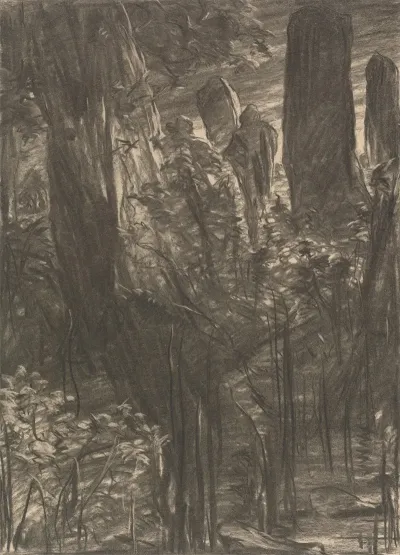 A Grove Of Trees