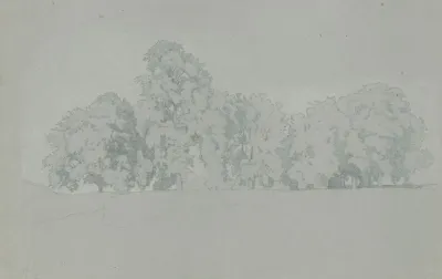 A Grove