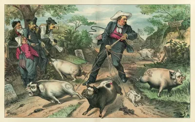 A Hard Job With The Hogs