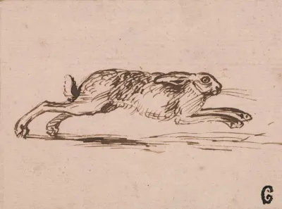 A Hare Running With Ears Laid Back