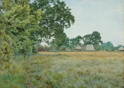 A Hayfield Bedfordshire
