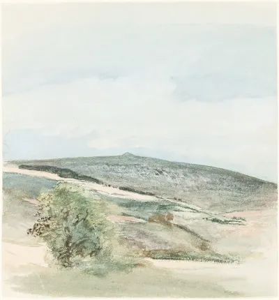 A Heath In Sussex