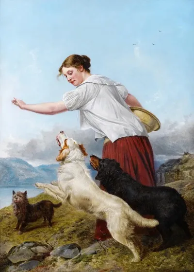 A Highland Walk