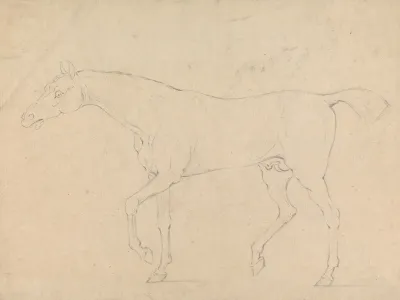 A Horse 2