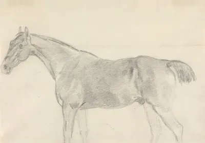 A Horse Facing Left