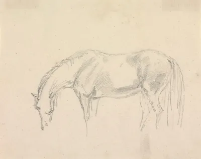 A Horse Grazing 2