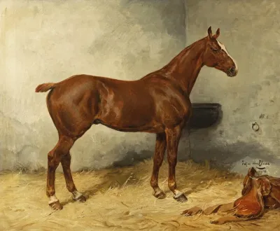 A Horse In A Stable