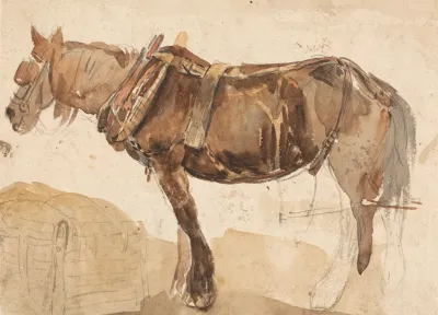 A Horse In Harness Seen From The Near Side