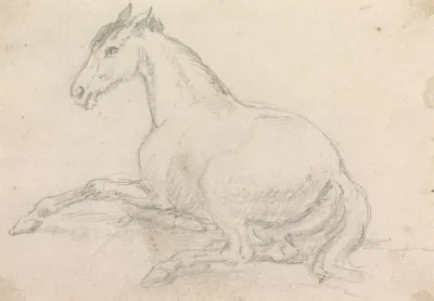 A Horse Lying Down