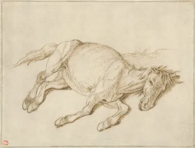 A Horse Lying On Its Side