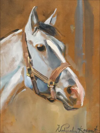 A Horses Head In Profile