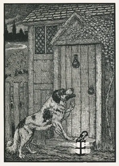 A Hundred Anecdotes Of Animals Pl 003