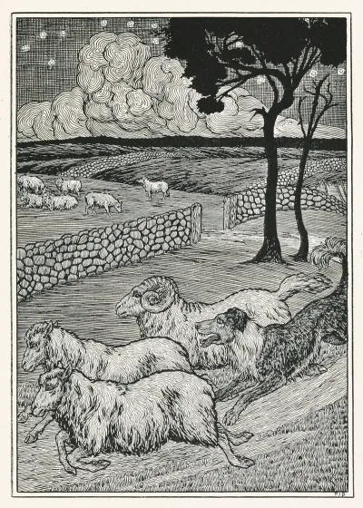 A Hundred Anecdotes Of Animals Pl 020