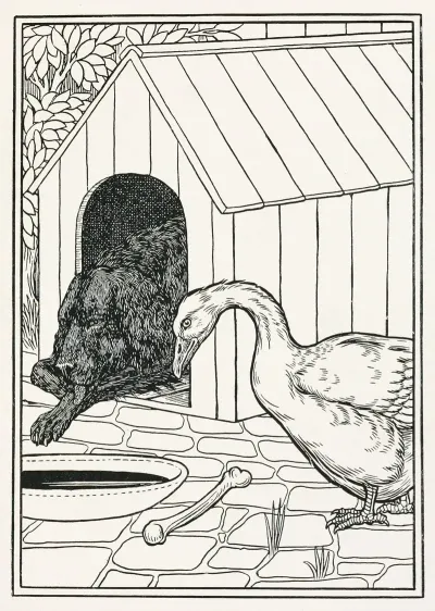 A Hundred Anecdotes Of Animals Pl 021
