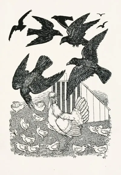 A Hundred Anecdotes Of Animals Pl 029