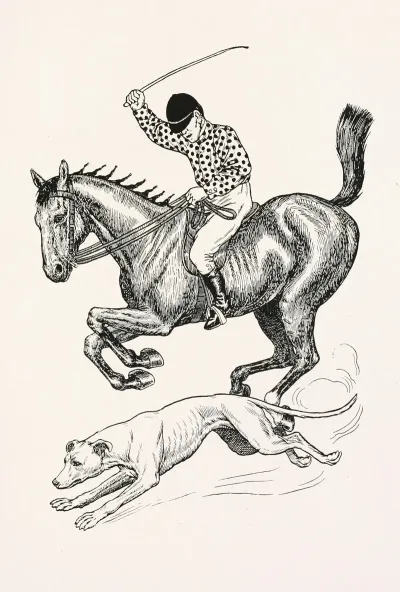 A Hundred Anecdotes Of Animals Pl 043