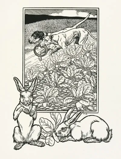 A Hundred Anecdotes Of Animals Pl 056