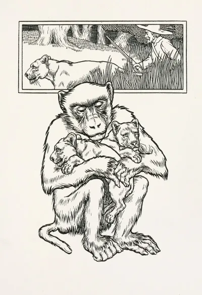 A Hundred Anecdotes Of Animals Pl 083