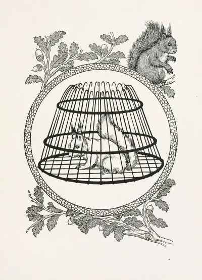 A Hundred Anecdotes Of Animals Pl 090