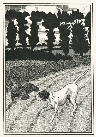 A Hundred Anecdotes Of Animals Pl 096