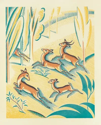 A Jungle Picnic Pl 01