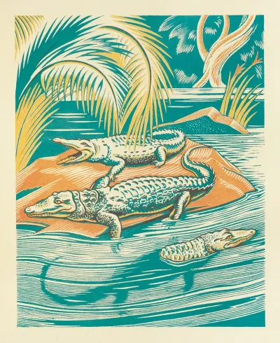 A Jungle Picnic Pl 04