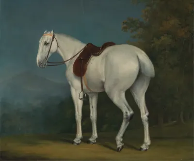 A Ladys Grey Hunter