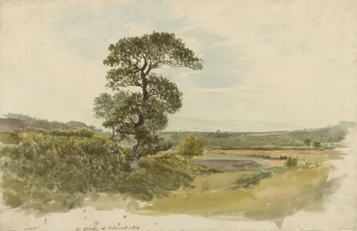 A Landscape In Snowdonia With A Tree In The Foreground