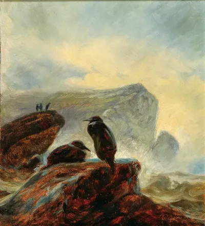 A Landscape With Cormorants On A Rock
