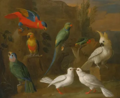 A Landscape With Exotic Birds Including Parrots Parakeets Turtle Doves And Cockatoos