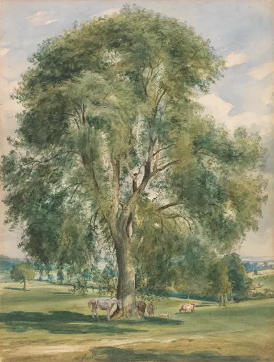 A Large Tree In A Summer Landscape A Horse Standing At The Base