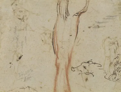 A Leg And A Pigs Head