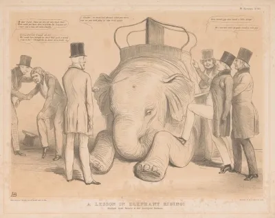 A Lesson In Elephant Riding Studied From Nature In The Zoological Gardens