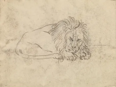 A Lion 2