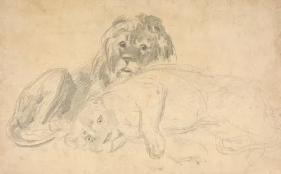 A Lion And His Mate